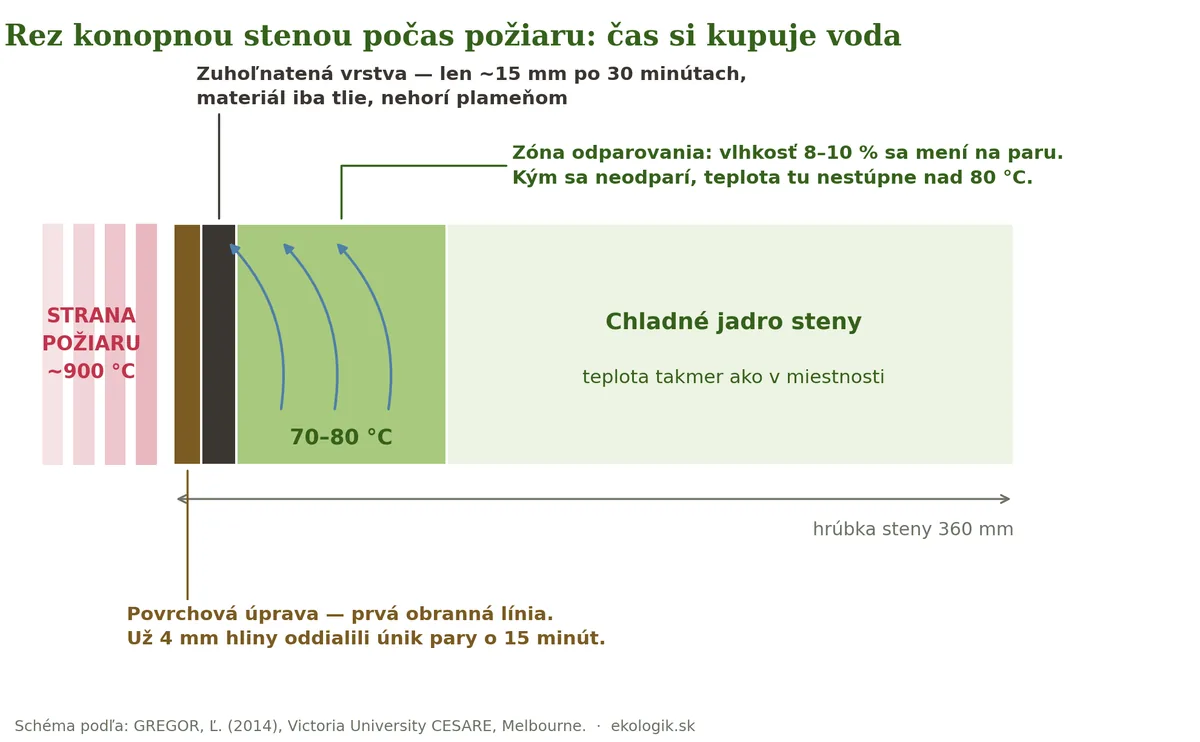 Schéma rezu konopnou stenou počas požiaru: vápenná omietka, zuhoľnatená vrstva 15 mm, zóna odparovania vlhkosti s teplotou 70 až 80 stupňov a chladné jadro steny